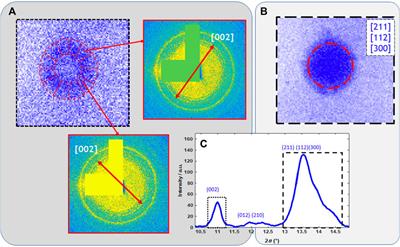 State-of-the-art multimodal scanning hard X-ray imaging and tomography sheds light at multiple length-scales on biomineralization related processes